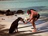 Zeus & Magnum (Tom Selleck)