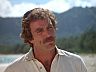 Magnum (Tom Selleck)