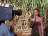 Christine Richards (Gretchen Corbett)