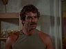 Magnum (Tom Selleck)