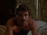 Magnum (Tom Selleck)