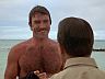 Magnum (Tom Selleck)