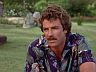 Magnum (Tom Selleck)