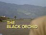Episode Title