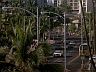 Waikiki