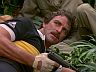 Magnum (Tom Selleck)