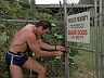 Magnum (Tom Selleck)