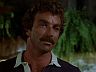 Magnum (Tom Selleck)