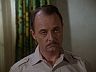 Higgins (John Hillerman)