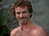 Magnum (Tom Selleck)