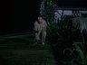 Higgins (John Hillerman)