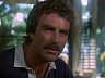 Magnum (Tom Selleck)