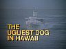 Episode Title