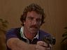 Magnum (Tom Selleck)