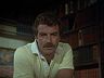 Magnum (Tom Selleck)