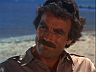 Magnum (Tom Selleck)