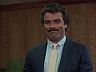 Magnum (Tom Selleck)