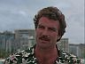 Magnum (Tom Selleck)