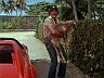 Magnum (Tom Selleck)