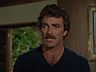 Magnum (Tom Selleck)