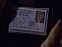 Driver's License