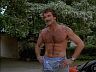 Magnum (Tom Selleck)
