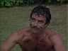 Magnum (Tom Selleck)
