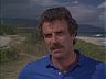 Magnum (Tom Selleck)