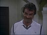 Magnum (Tom Selleck)