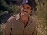 Magnum (Tom Selleck)