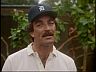 Magnum (Tom Selleck)