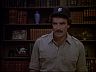 Magnum (Tom Selleck)