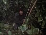 Magnum (Tom Selleck) - 'Nam - POW