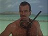 Magnum (Tom Selleck)