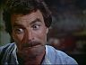 Magnum (Tom Selleck)