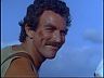 Magnum (Tom Selleck)