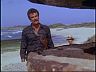 Magnum (Tom Selleck)