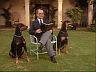 Higgins (John Hillerman) & The Lads