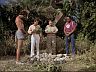 Magnum (Tom Selleck), Rick (Larry Manetti), Higgins (John Hillerman) & T.C. (Roger E. Mosley)