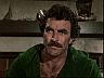 Magnum (Tom Selleck)