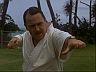 Higgins (John Hillerman)