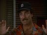 Magnum (Tom Selleck)