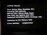 Computer Screen circa 1983