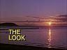 Episode Title