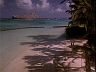 Tidal Pool