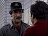 Magnum (Tom Selleck)