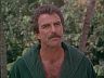 Magnum (Tom Selleck)