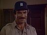 Magnum (Tom Selleck)