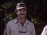 Magnum (Tom Selleck)