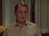 Higgins (John Hillerman)